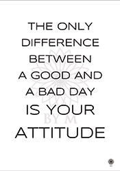 Attitude